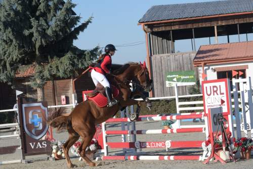 DSC_9812